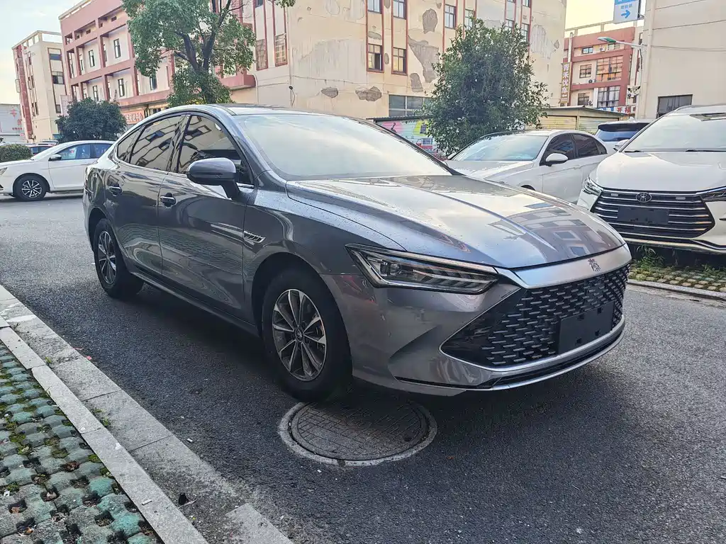 BYD Qin PLUS 2024