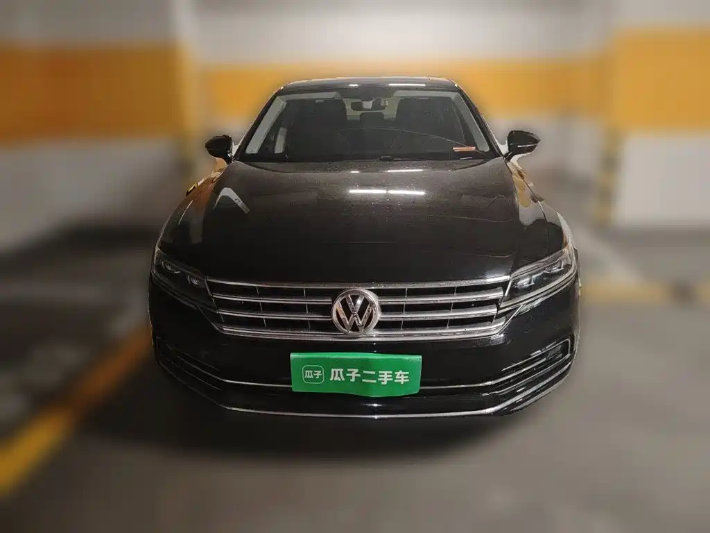 Volkswagen Phideon 2020 — фото 23