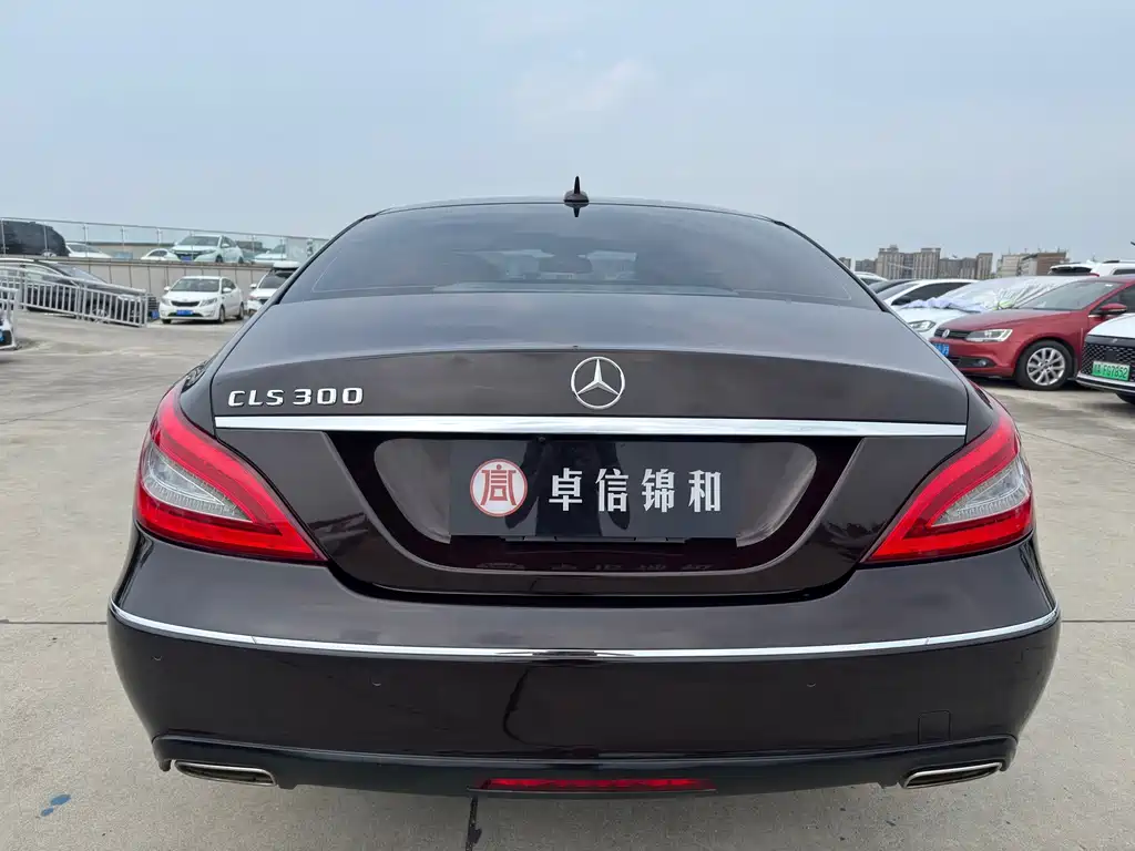 Mercedes-Benz CLS 2013 — фото 12