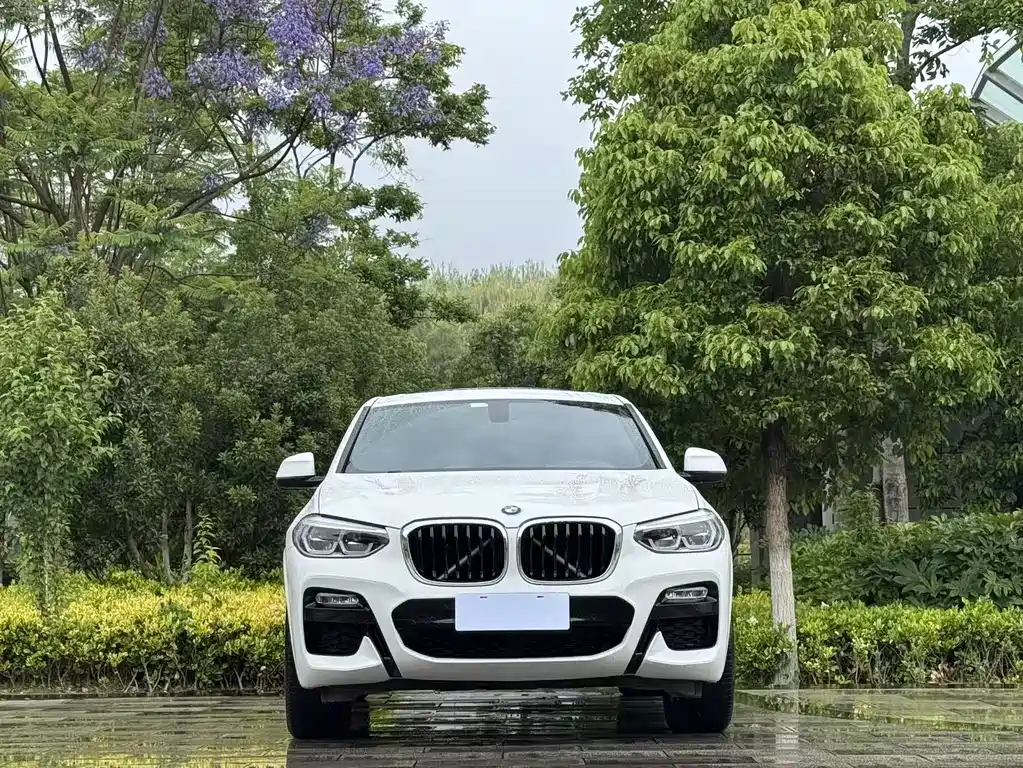 BMW X4 2019 — фото 2