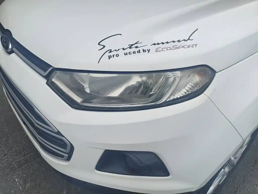 Ford EcoSport 2015 — фото 24