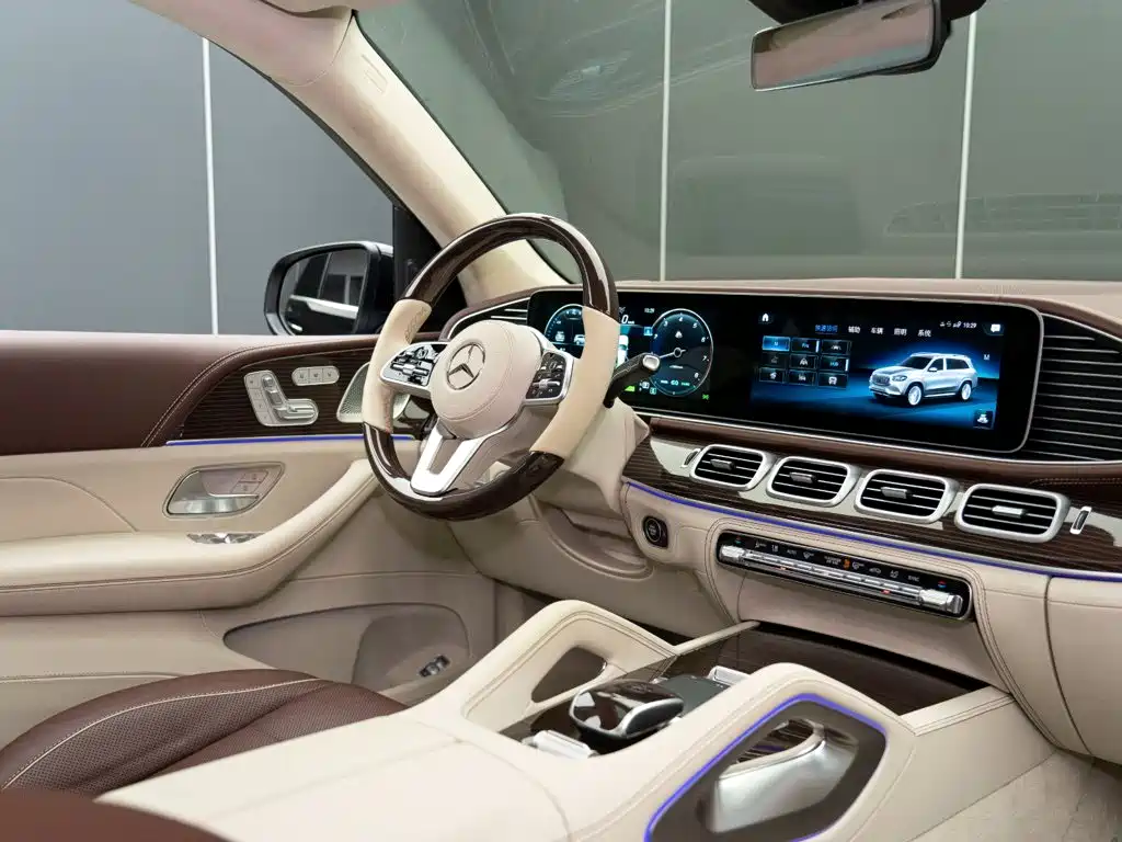 Mercedes-Benz Maybach GLS 2021 — фото 13