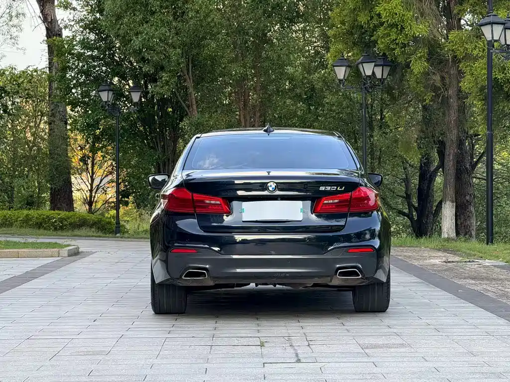 BMW 5 Series 2017 — фото 9
