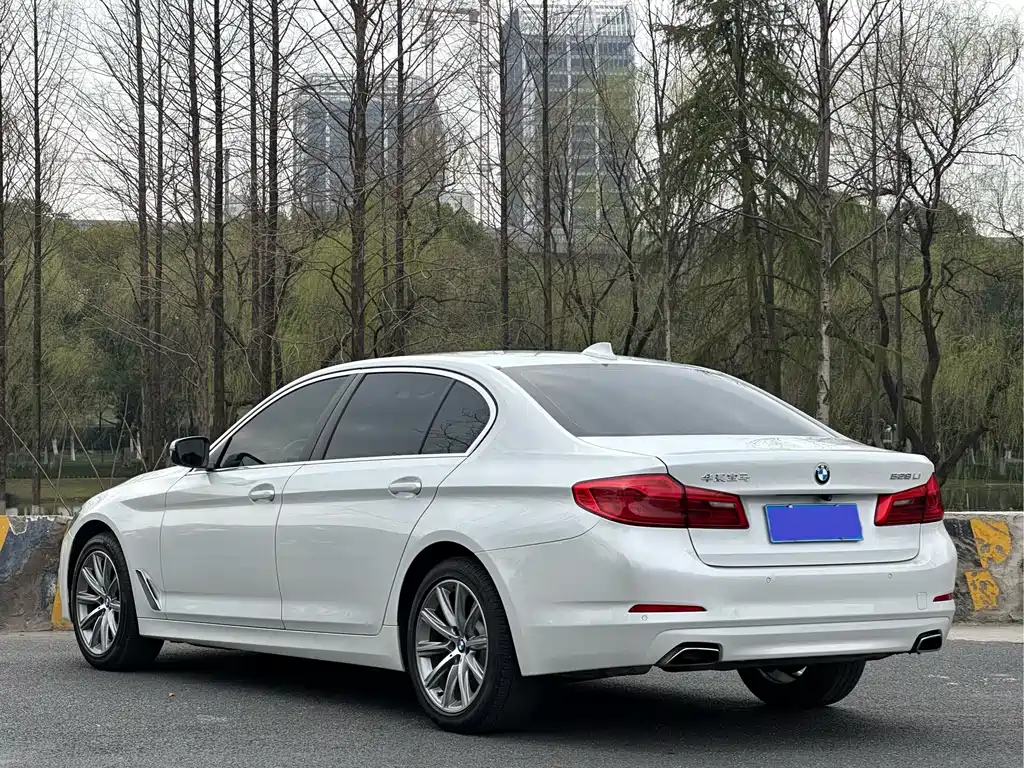BMW 5 Series 2017 — фото 5