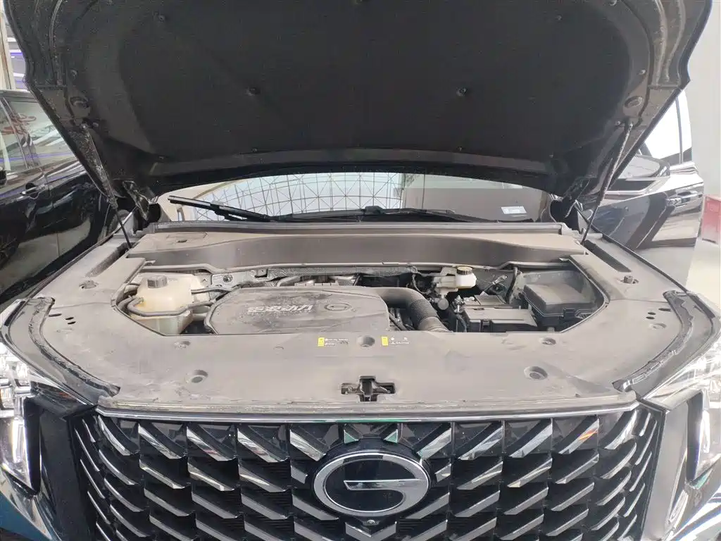 GAC Motor Trumpchi GS8 2023 — фото 10