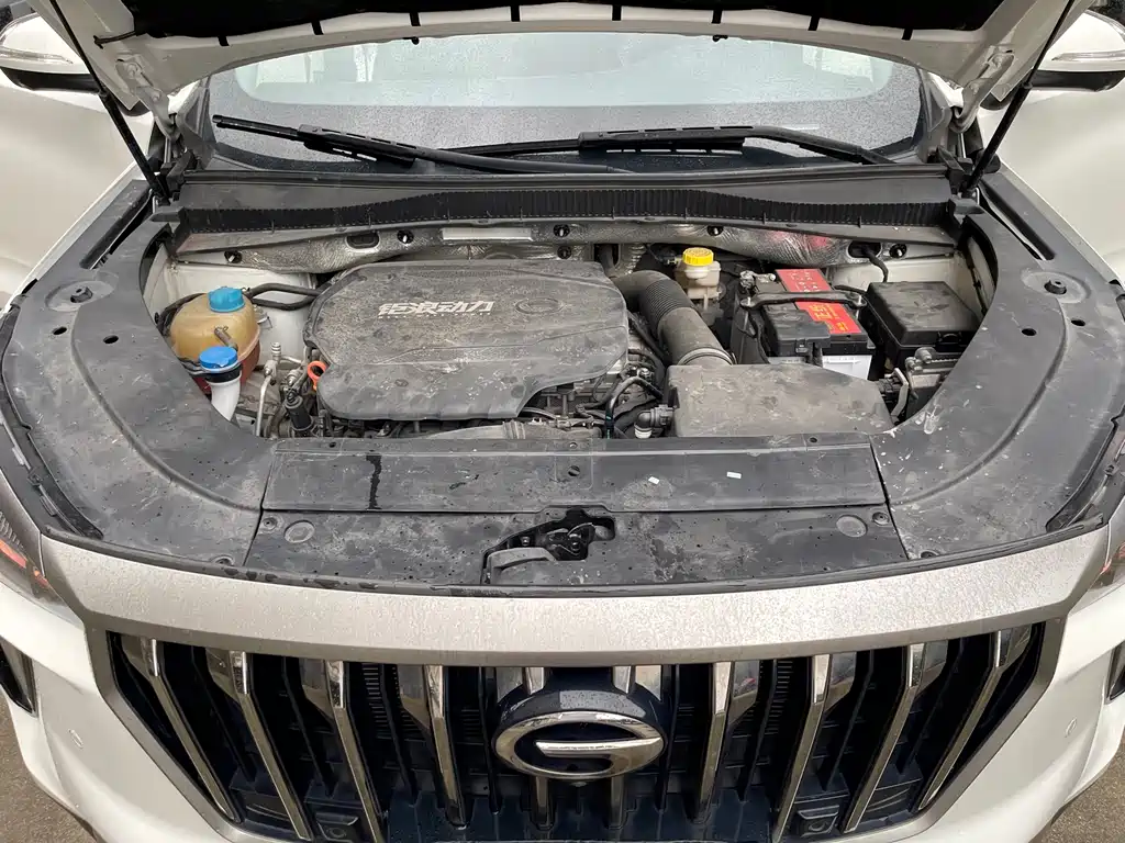 GAC Motor GS4 Plus 2023 — фото 15