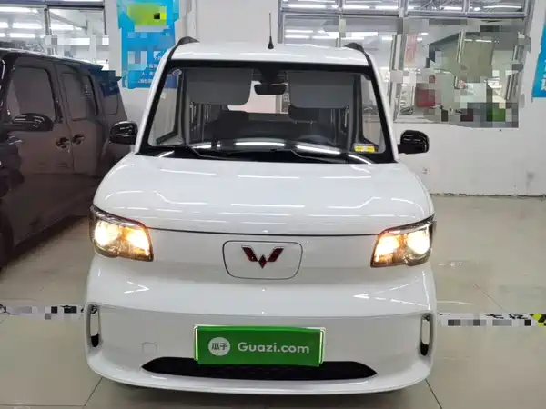 Wuling Zhiguang New Energy 2026
