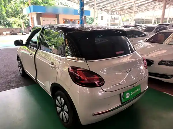 Wuling Bingo 2024