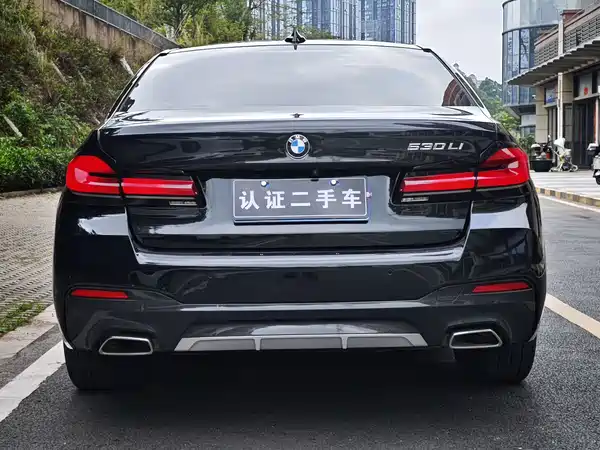 BMW 5 Series 2021