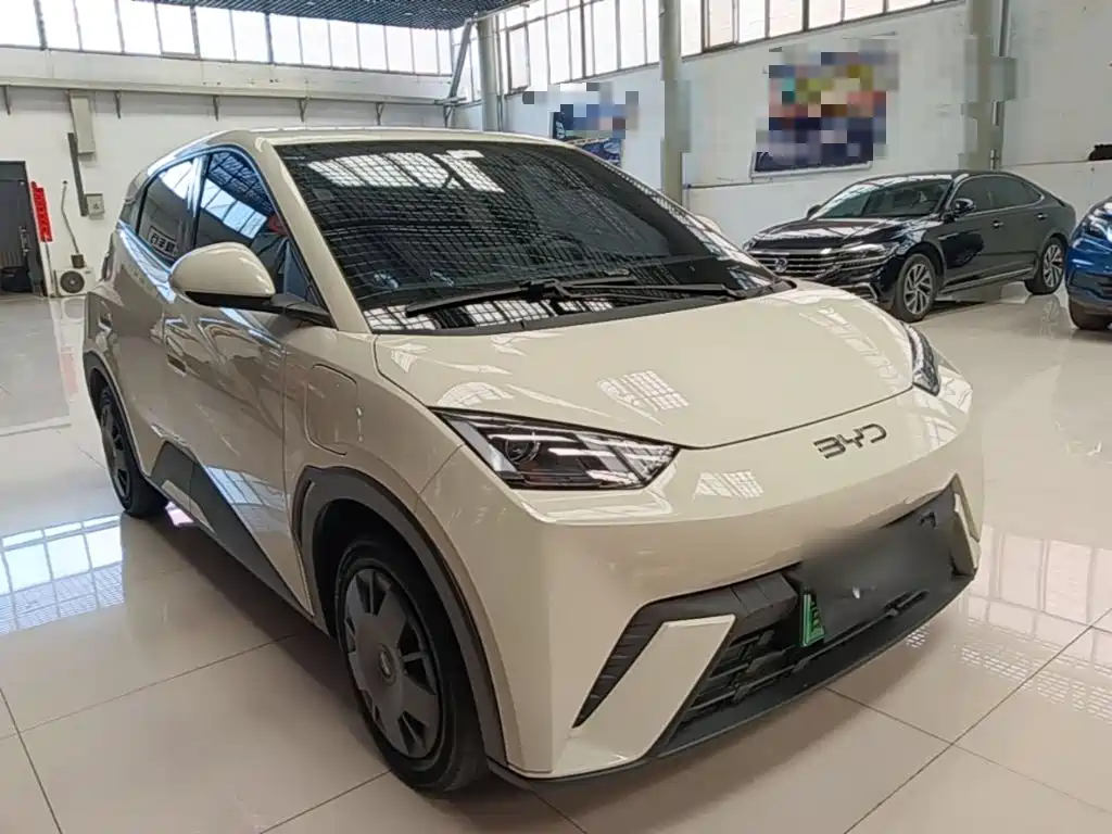 BYD Seagull 2024