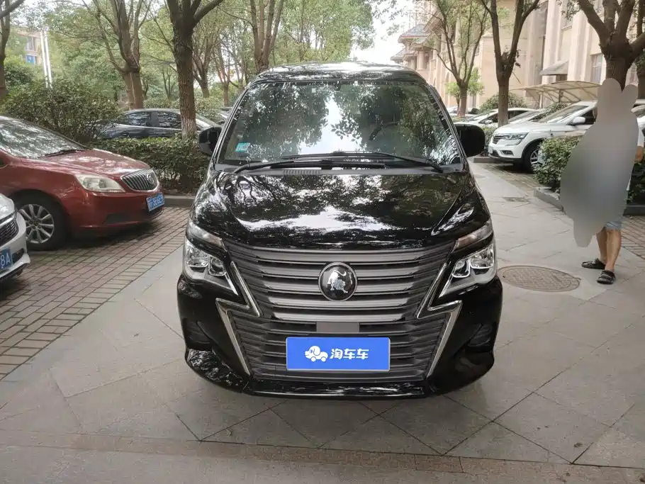 Fengxing Lingzhi 2023
