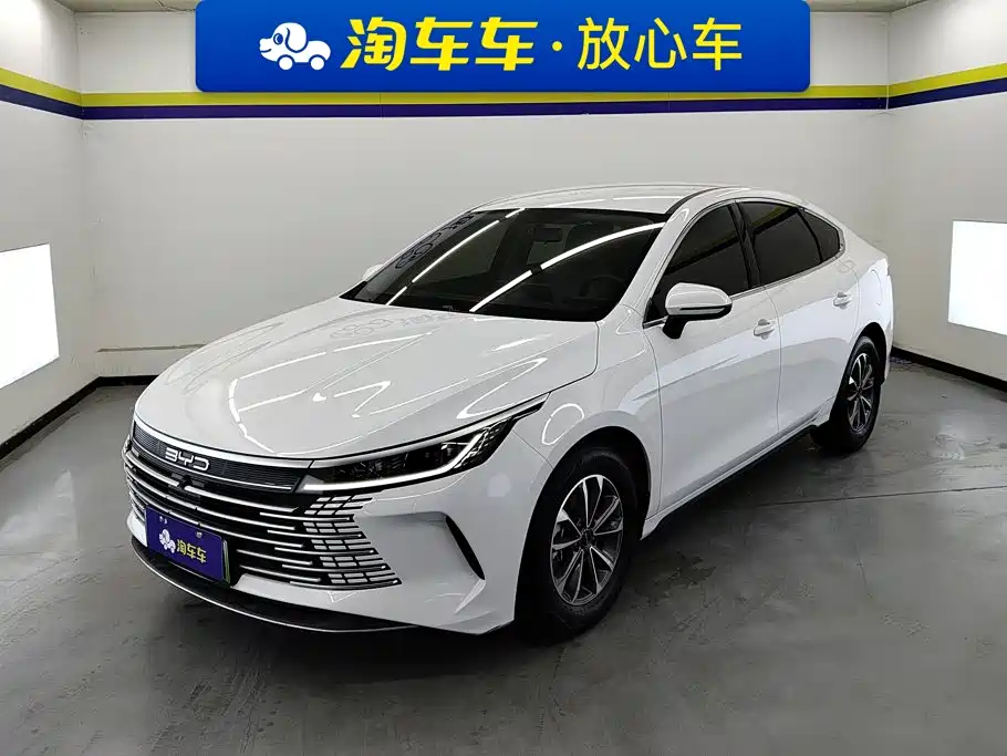 BYD Destroyer 05 2024 — фото 1