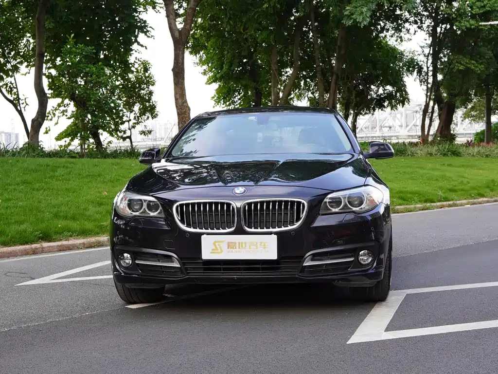 BMW 5 Series 2016