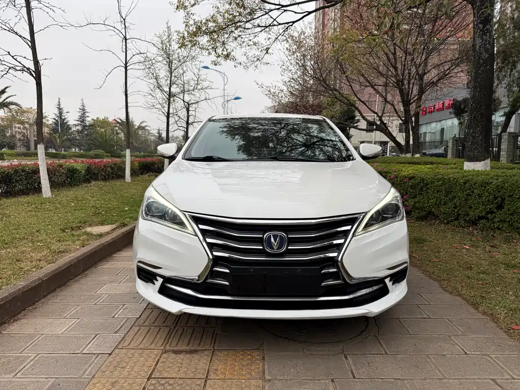 Changan Eado DT 2021 — фото 2
