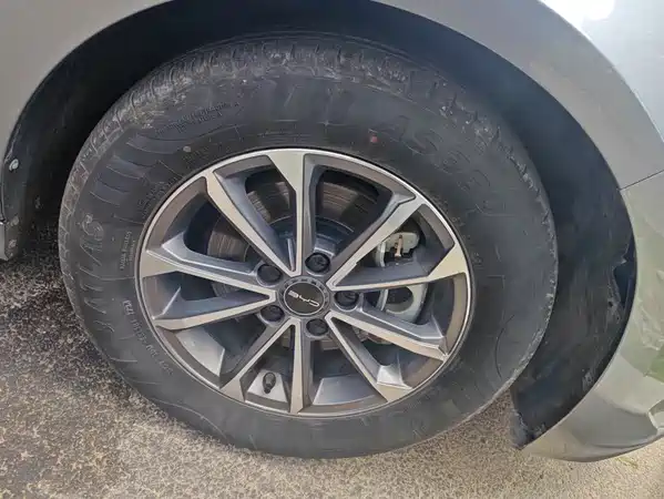 BYD Destroyer 05 2024