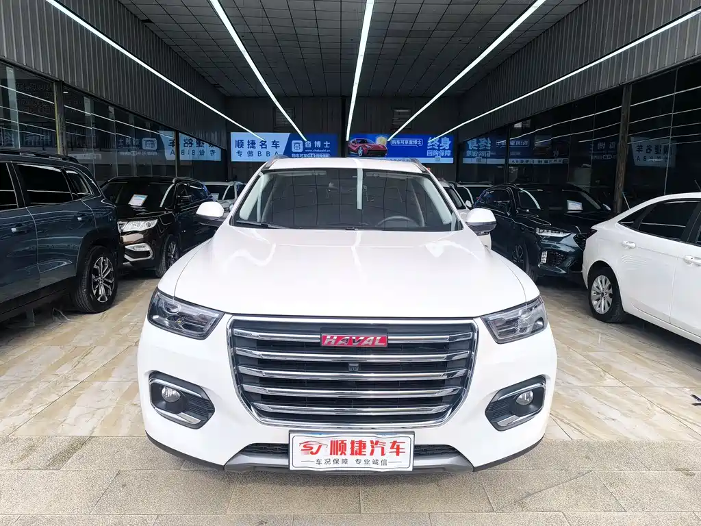 Haval H6 2019 — фото 2