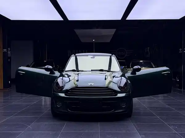 MINI 2011