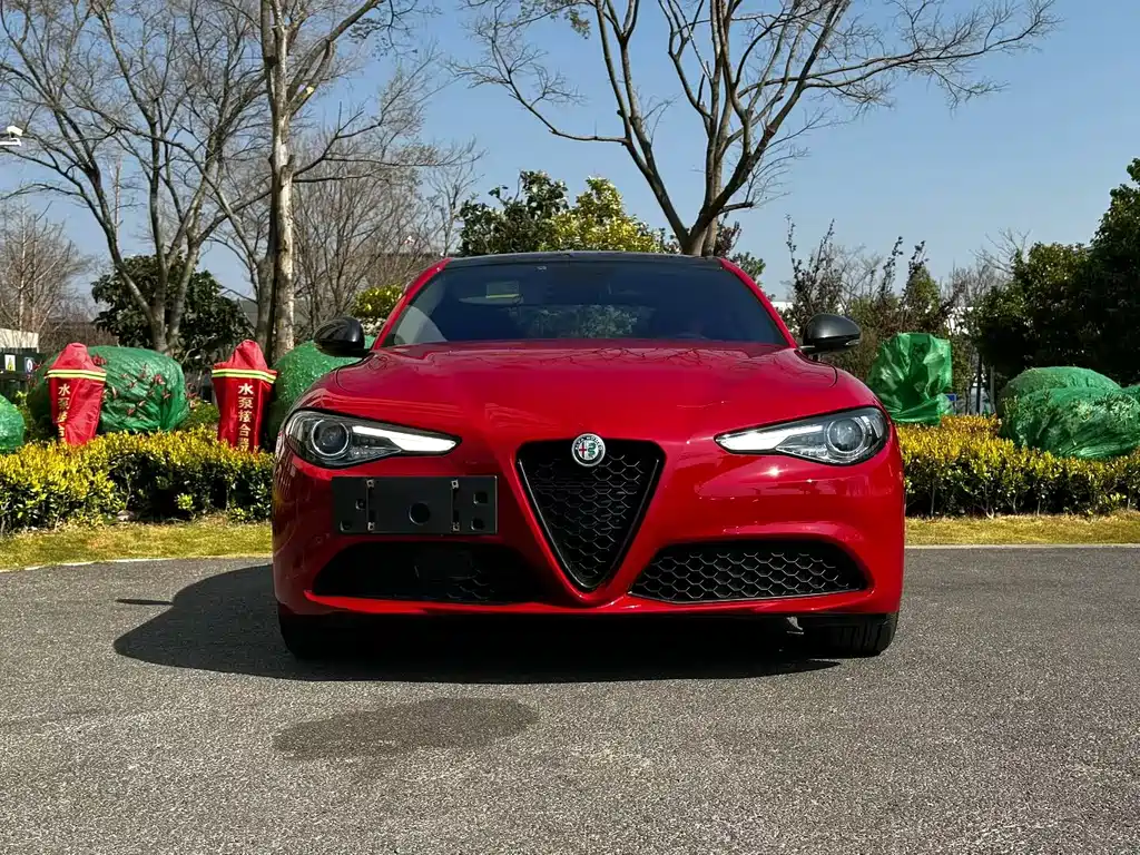 Alfa Romeo Giulia 2020 — фото 2