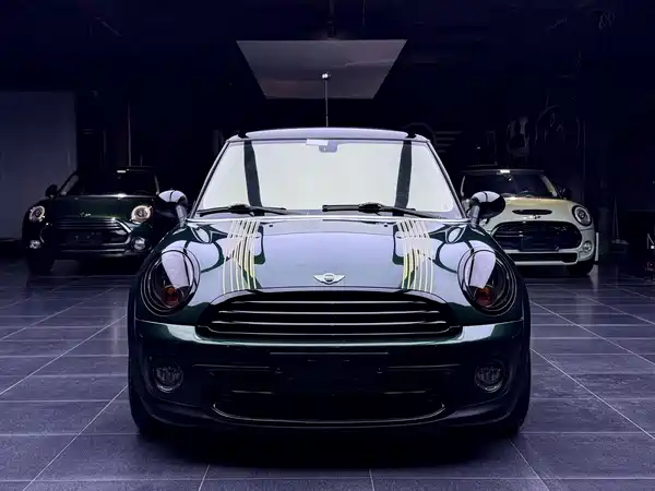 MINI 2011