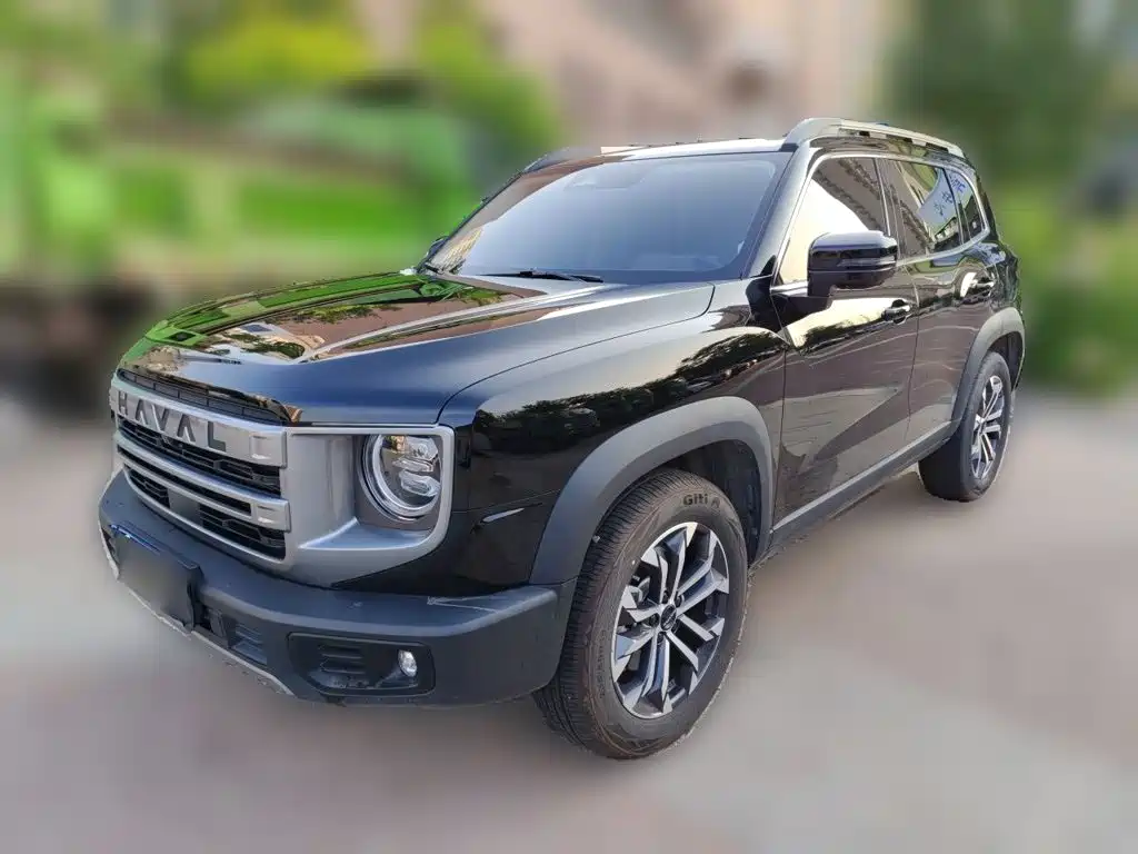 Haval Big Dog 2024