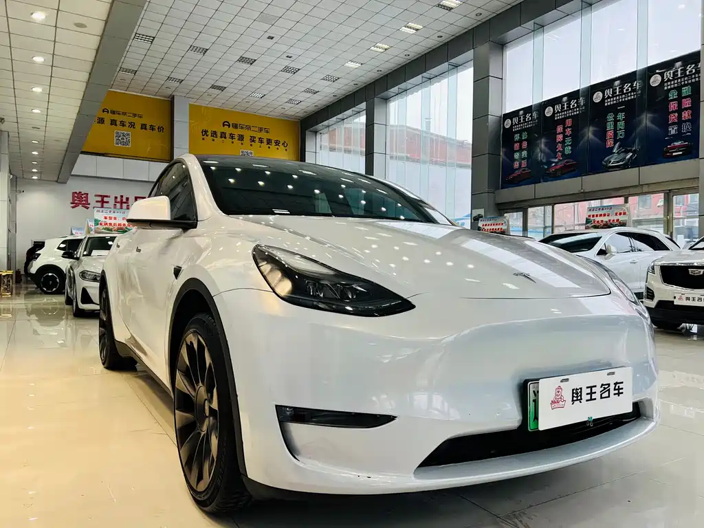 Tesla Model Y 2021 — фото 17