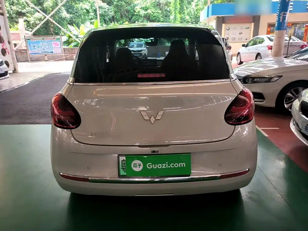 Wuling Bingo 2024