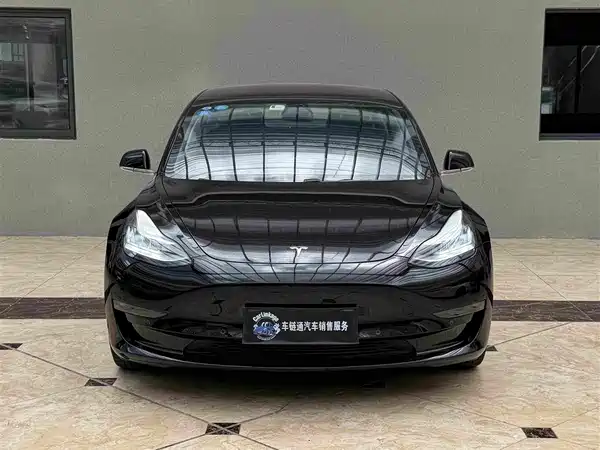 Tesla Model 3 2019
