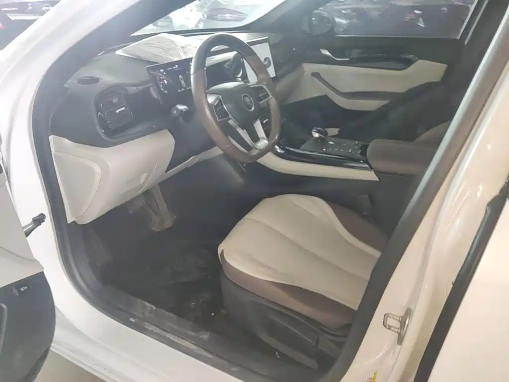 BYD Qin PLUS 2023 — фото 16