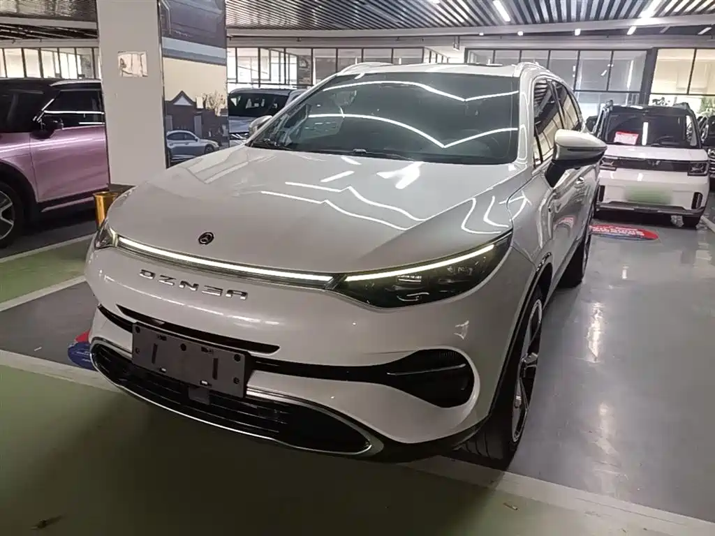 Denza X 2021