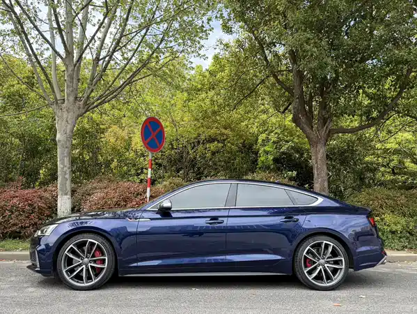 Audi S5 2017
