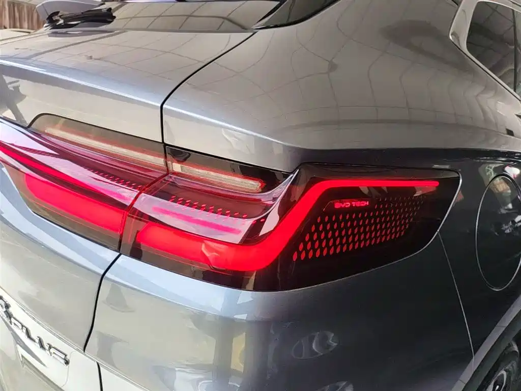 BYD PLUS New Energy 2024 — фото 24