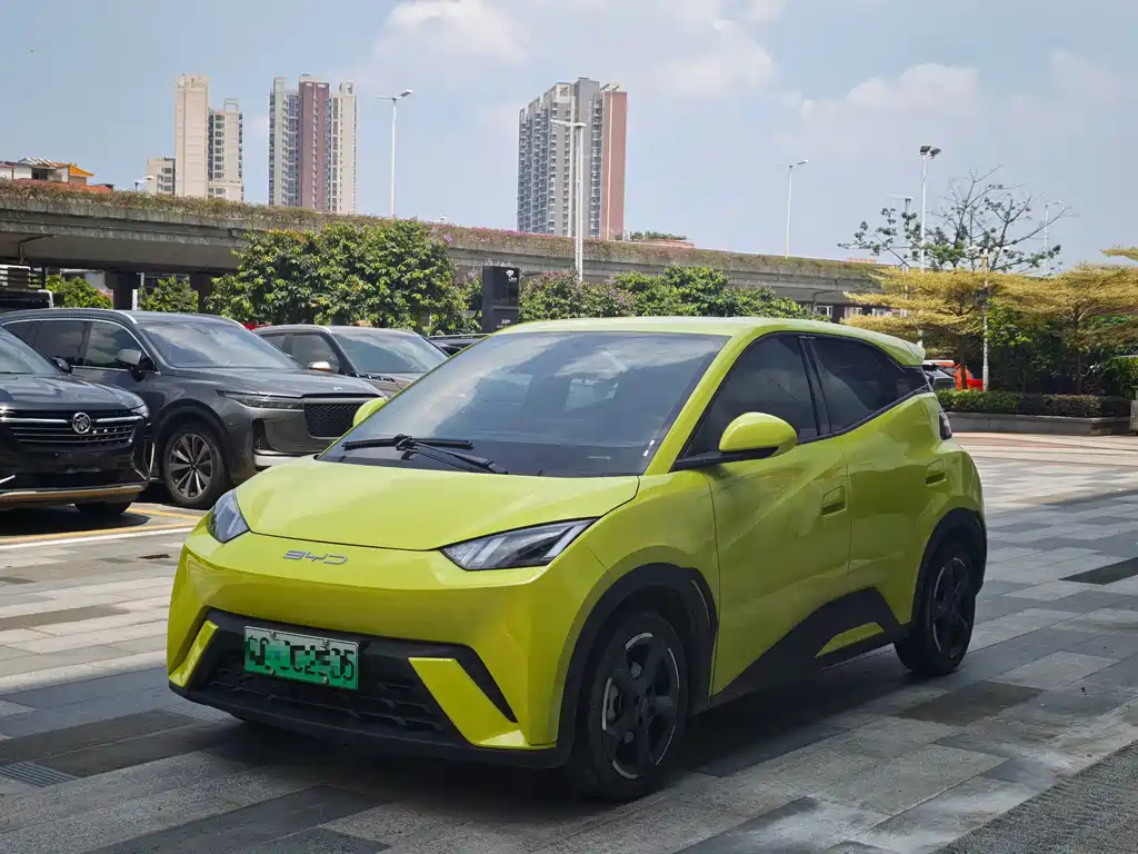 BYD Seagull 2024