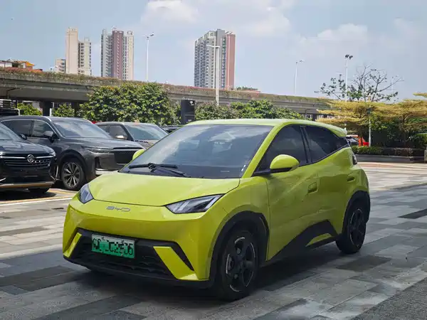 BYD Seagull 2024