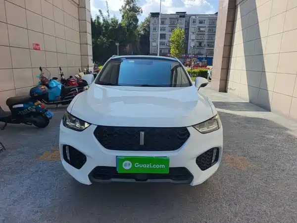 Wey VV5 2019
