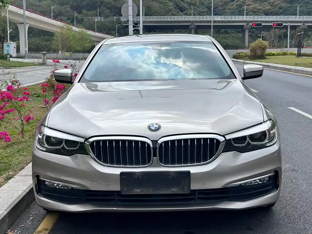 BMW 5 Series 2017 — фото 2