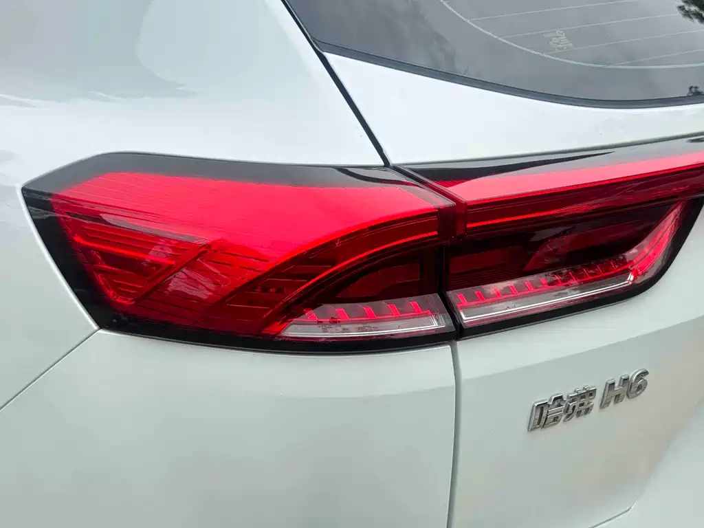 Haval H6 2023 — фото 36