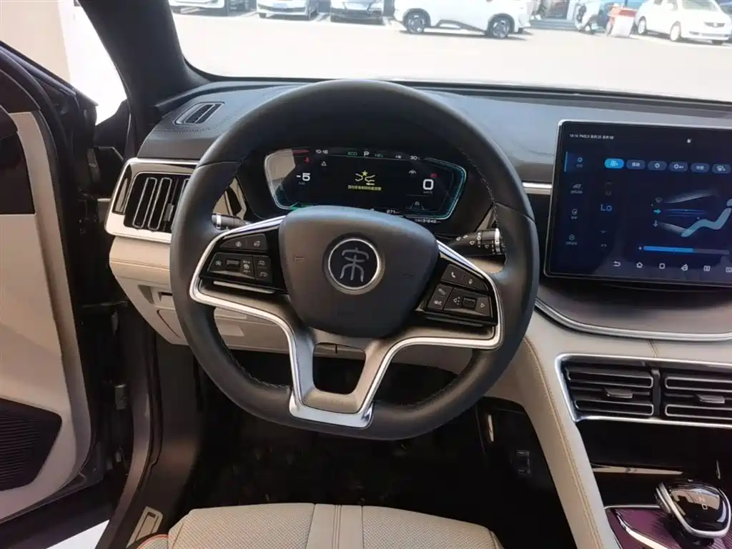 BYD PLUS New Energy 2022 — фото 11
