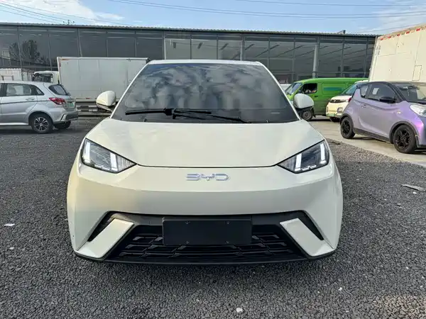 BYD Seagull 2024