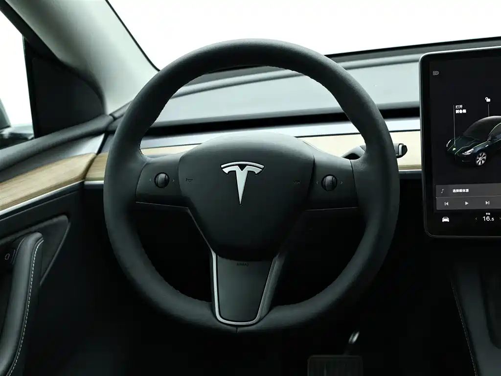 Tesla Model Y 2021 — фото 16