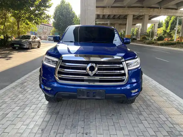 Great Wall Poer 2020