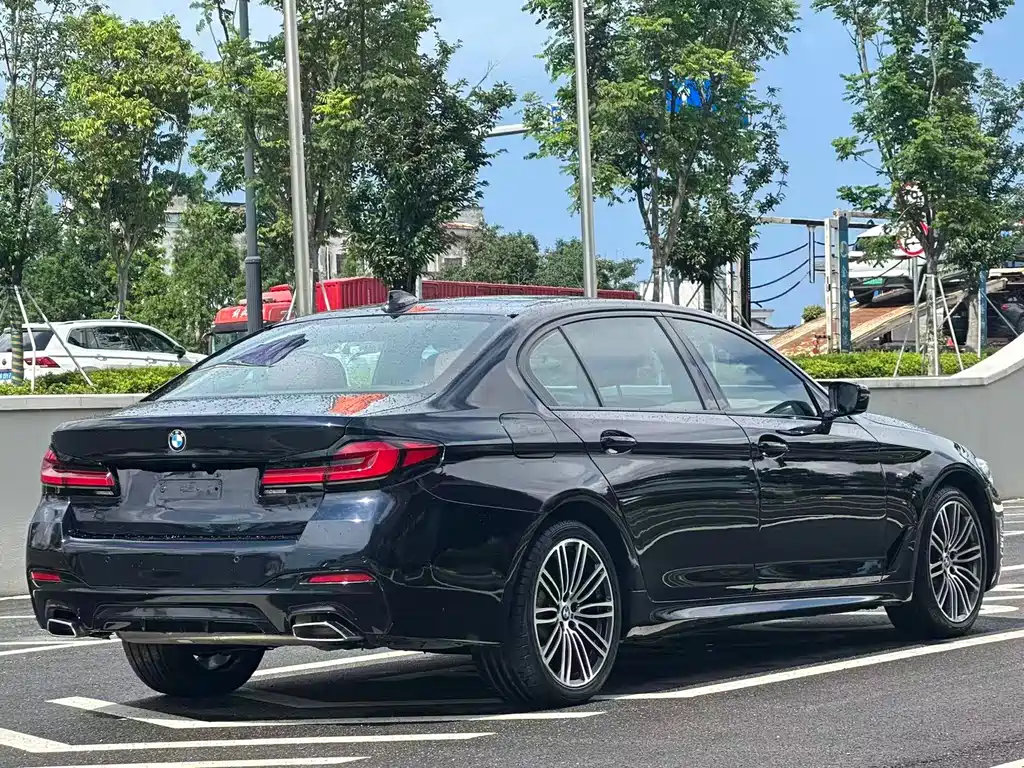 BMW 5 Series 2019 — фото 10