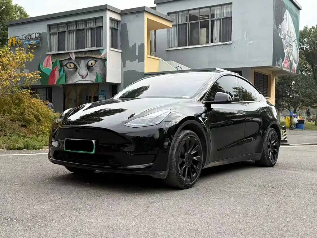 Tesla Model Y 2024 — фото 1