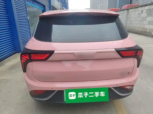 Neta V 2022