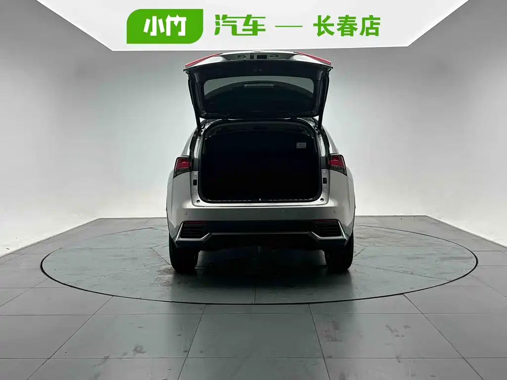 Lexus NX 2021
