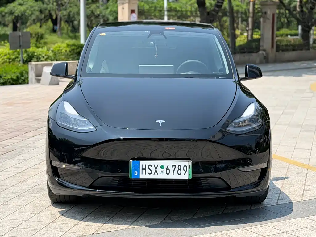 Tesla Model Y 2021 — фото 2