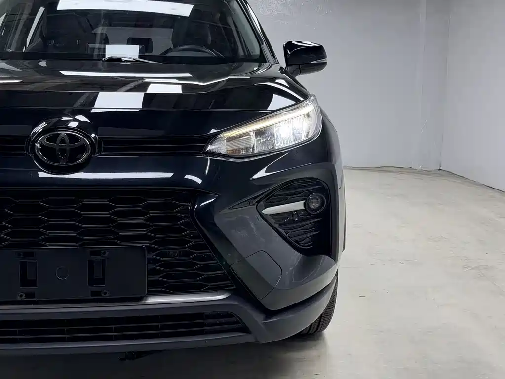 Toyota Wildlander 2021