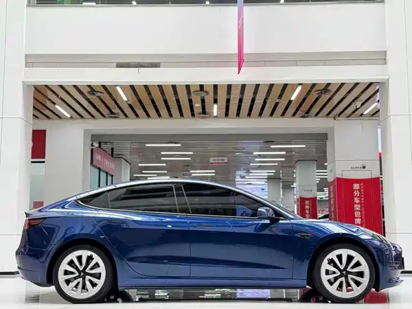 Tesla Model 3 2021