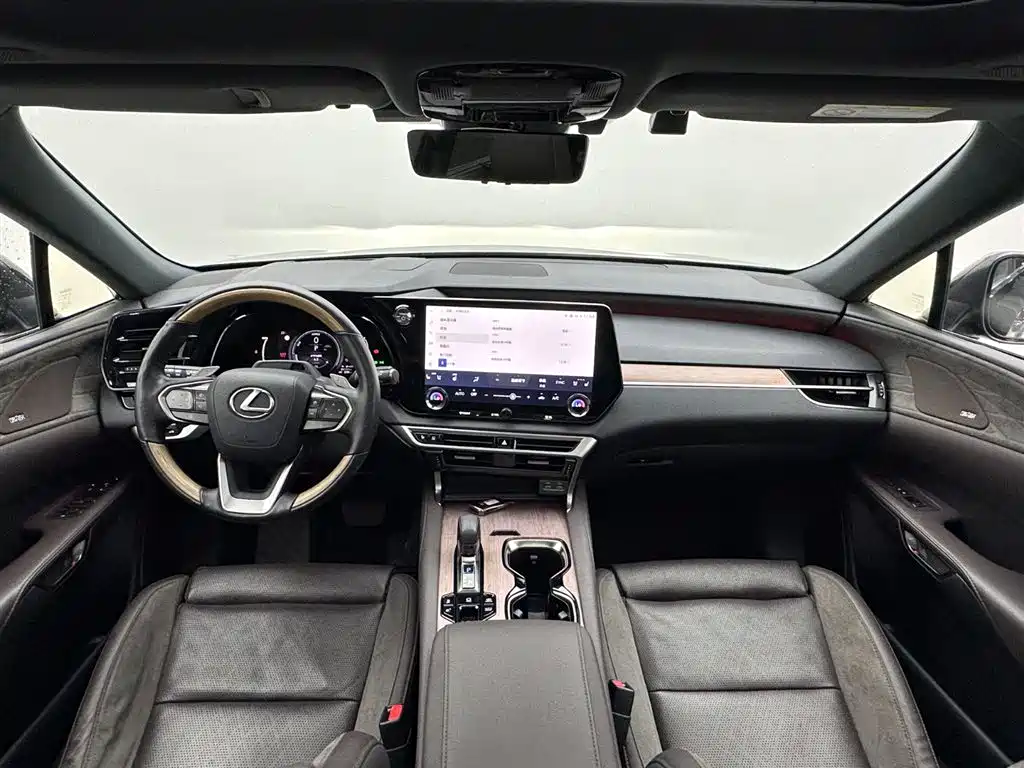 Lexus RX New Energy 2023 — фото 18