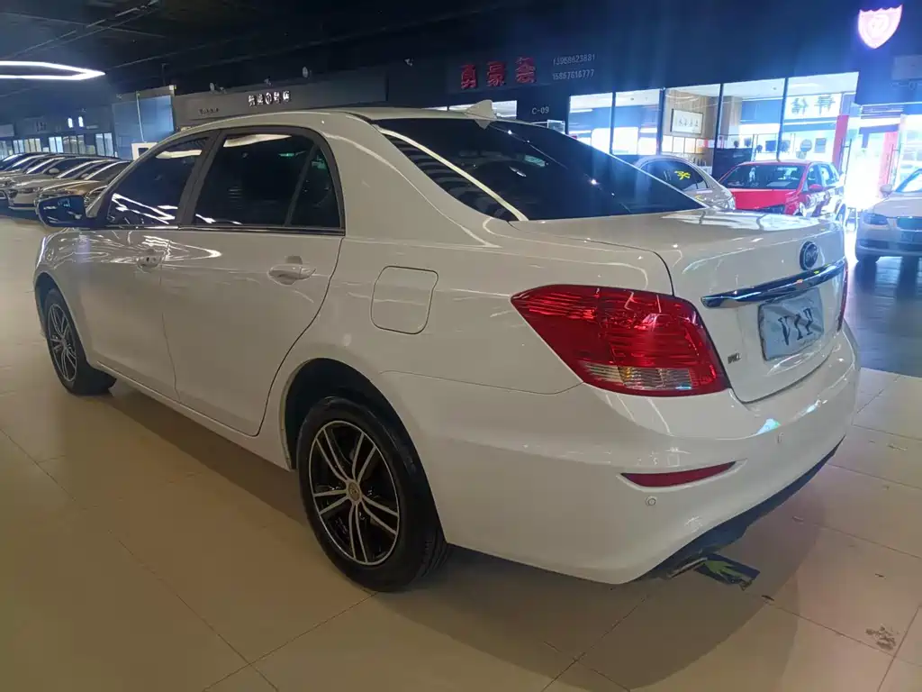 BYD Surui 2017 — фото 10