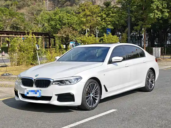 BMW 5 Series 2019